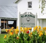 Cairo Plantation
